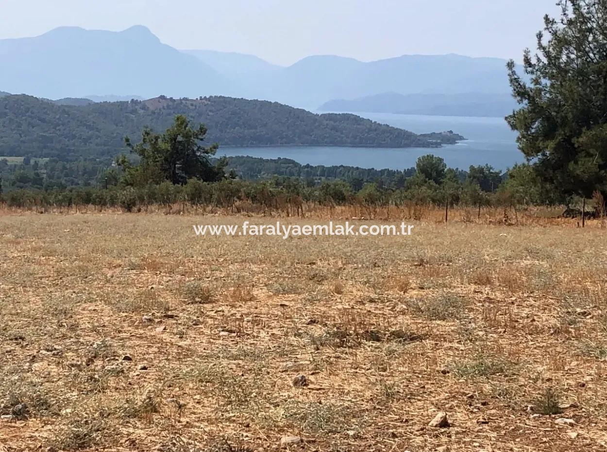 11.227M2 Land For Sale With Lake Views In Köyceğiz Zeytinalanı