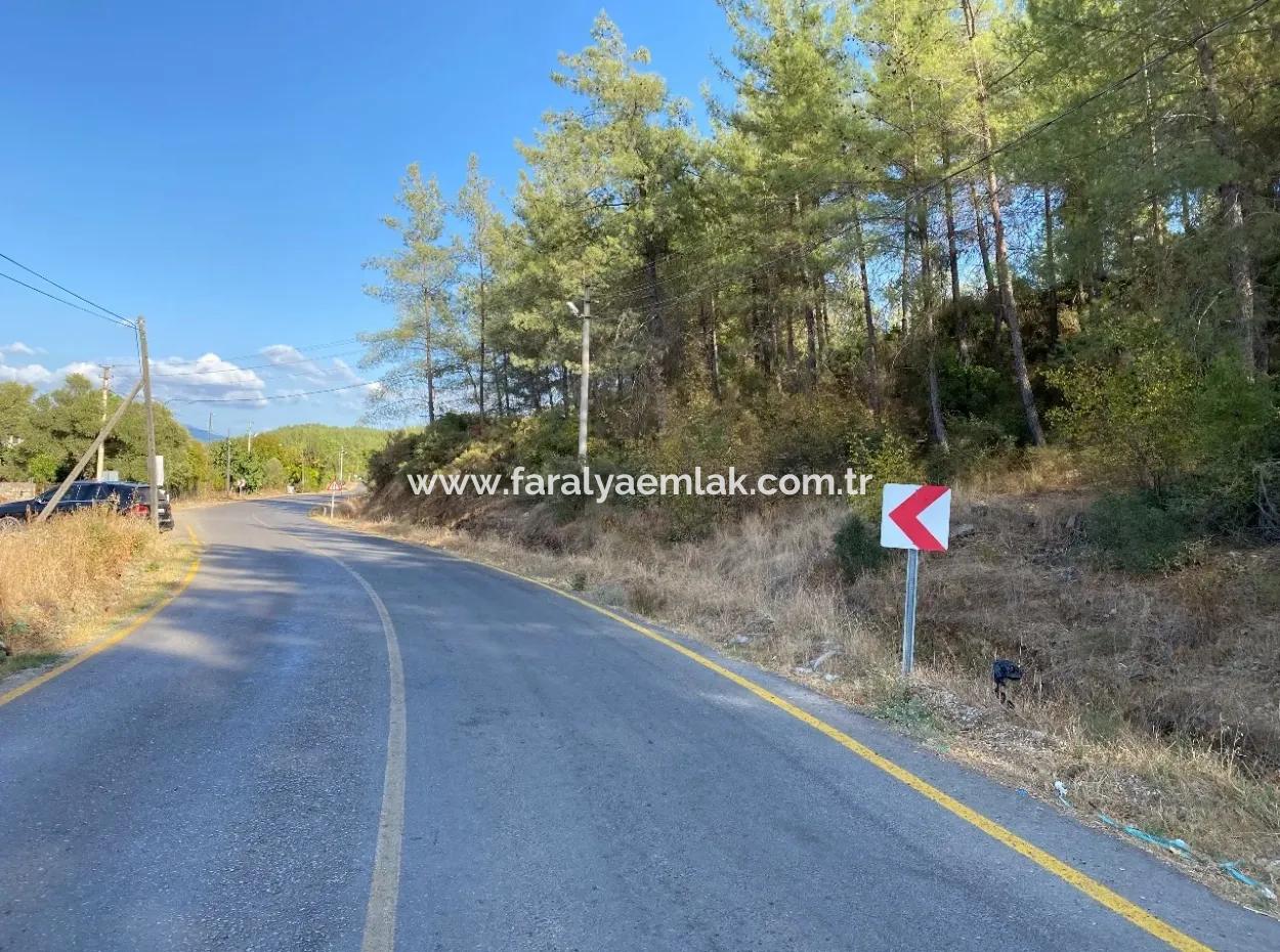 Land For Sale On 2506M2 Mainroa In Kavakarası