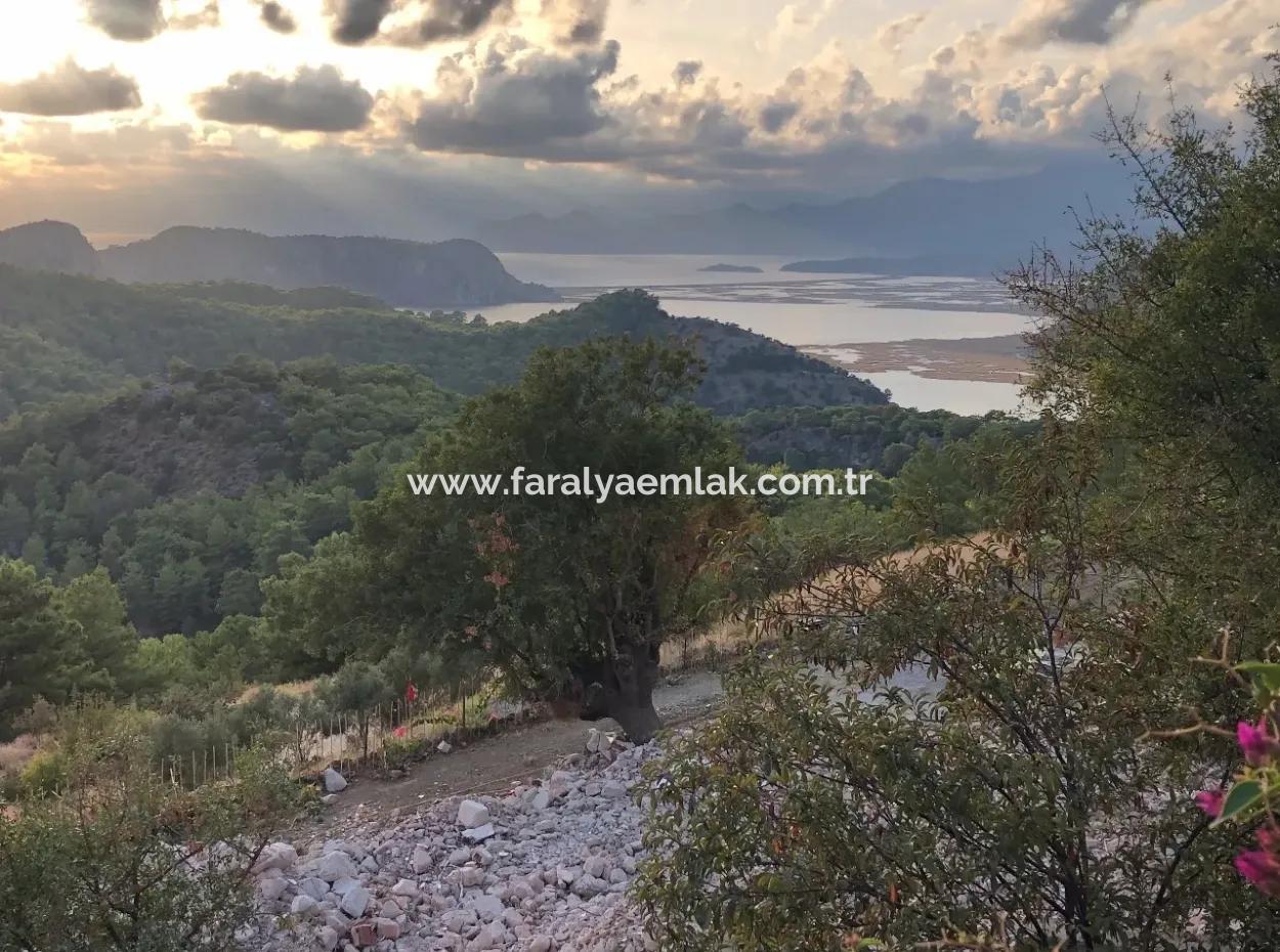 Land For Sale With 1000M2 Sea View In Gokbel