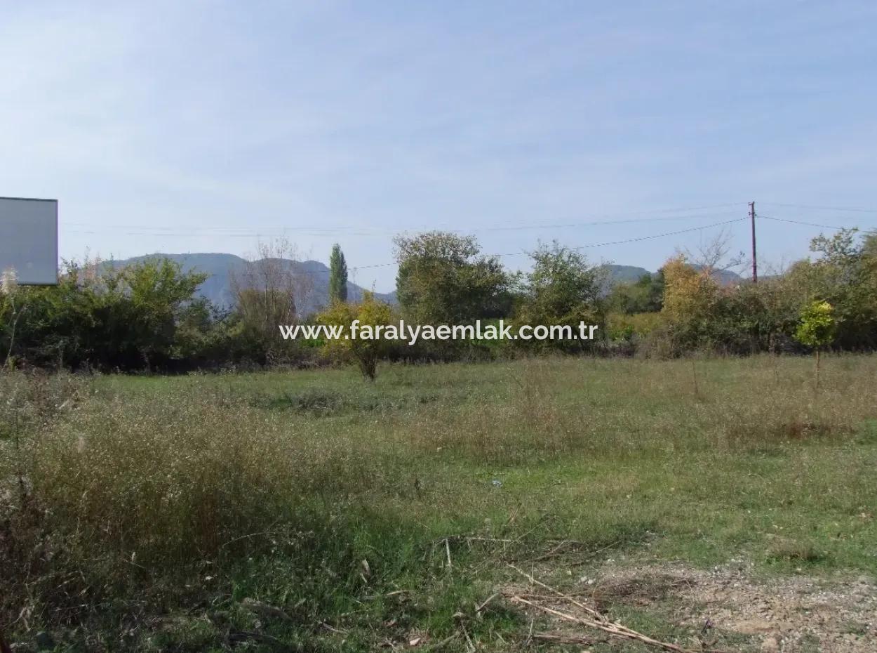 Land For Sale In Guzelyurt Land For Sale Zero 5515M2 Land For Sale On The Main Road
