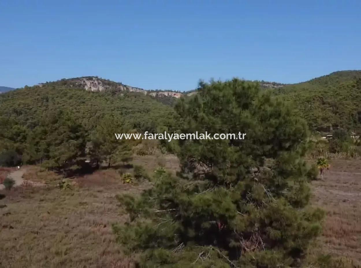 Land Land For Sale In Çamlıda Marmaris Çamlıda Sea View 11720M2 Land For Sale