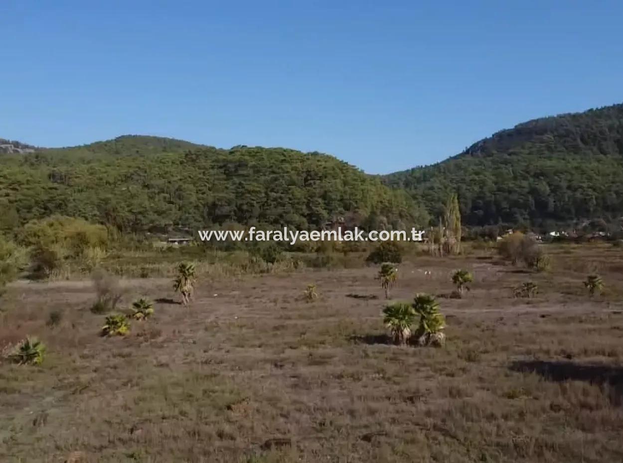 Land Land For Sale In Çamlıda Marmaris Çamlıda Sea View 11720M2 Land For Sale