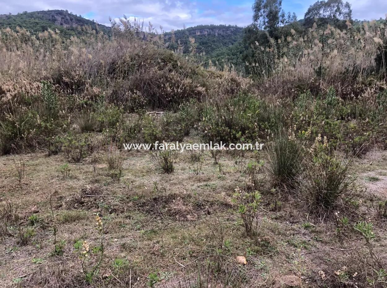 Land  For Sale Zero To Çamlı Canal 28768M2 Land For Sale With Sea View In Camlida