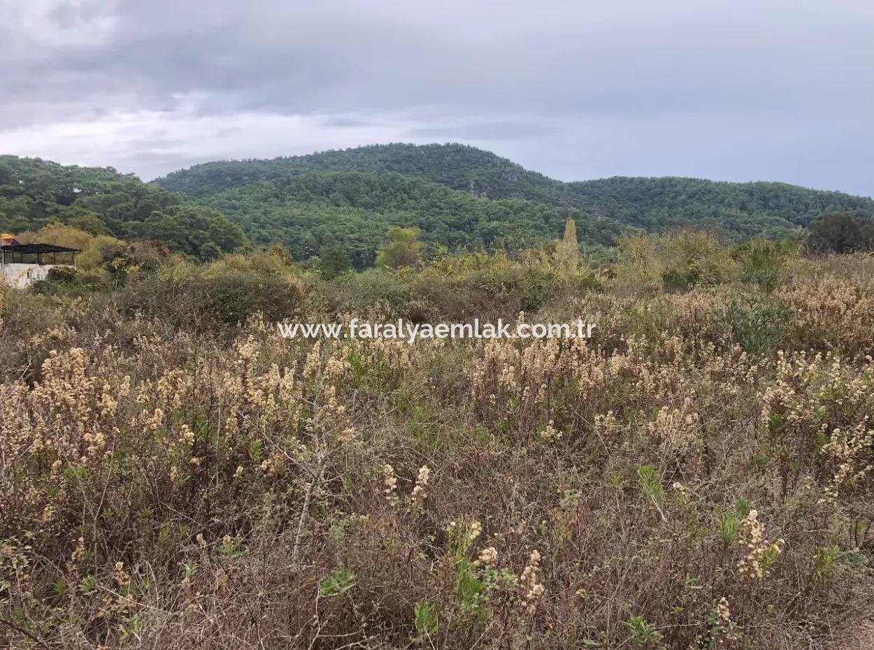 Land  For Sale Zero To Çamlı Canal 28768M2 Land For Sale With Sea View In Camlida