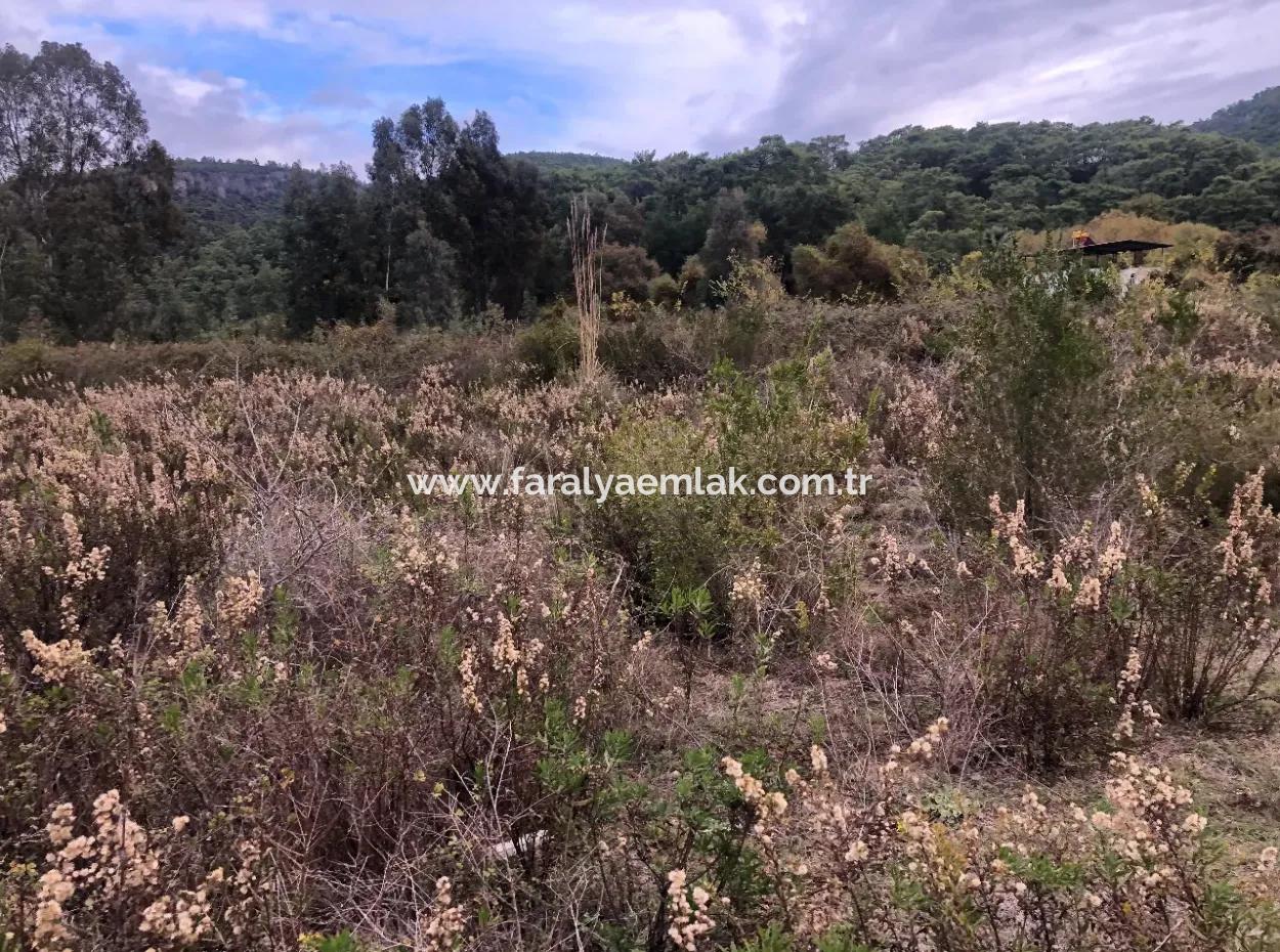 Land  For Sale Zero To Çamlı Canal 28768M2 Land For Sale With Sea View In Camlida