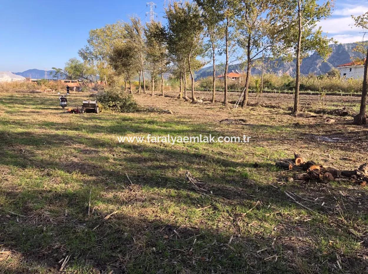 Land For Sale In Dalyan 2540M2
