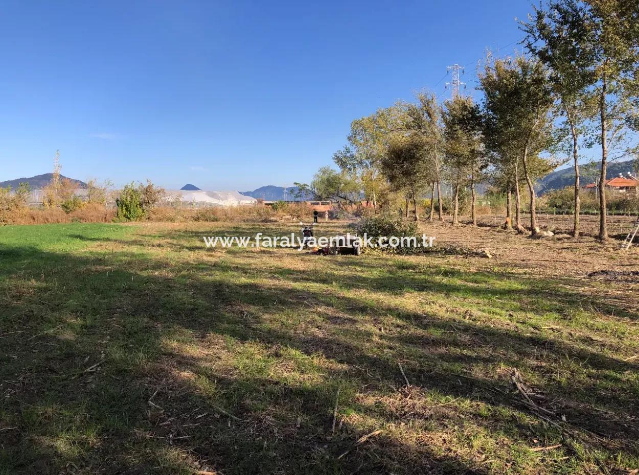 Land For Sale In Dalyan 2540M2