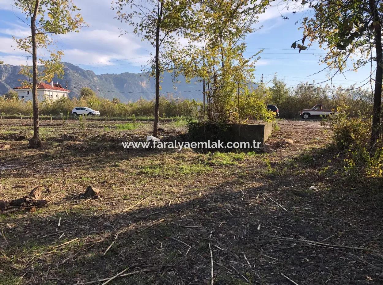 Land For Sale In Dalyan 2540M2