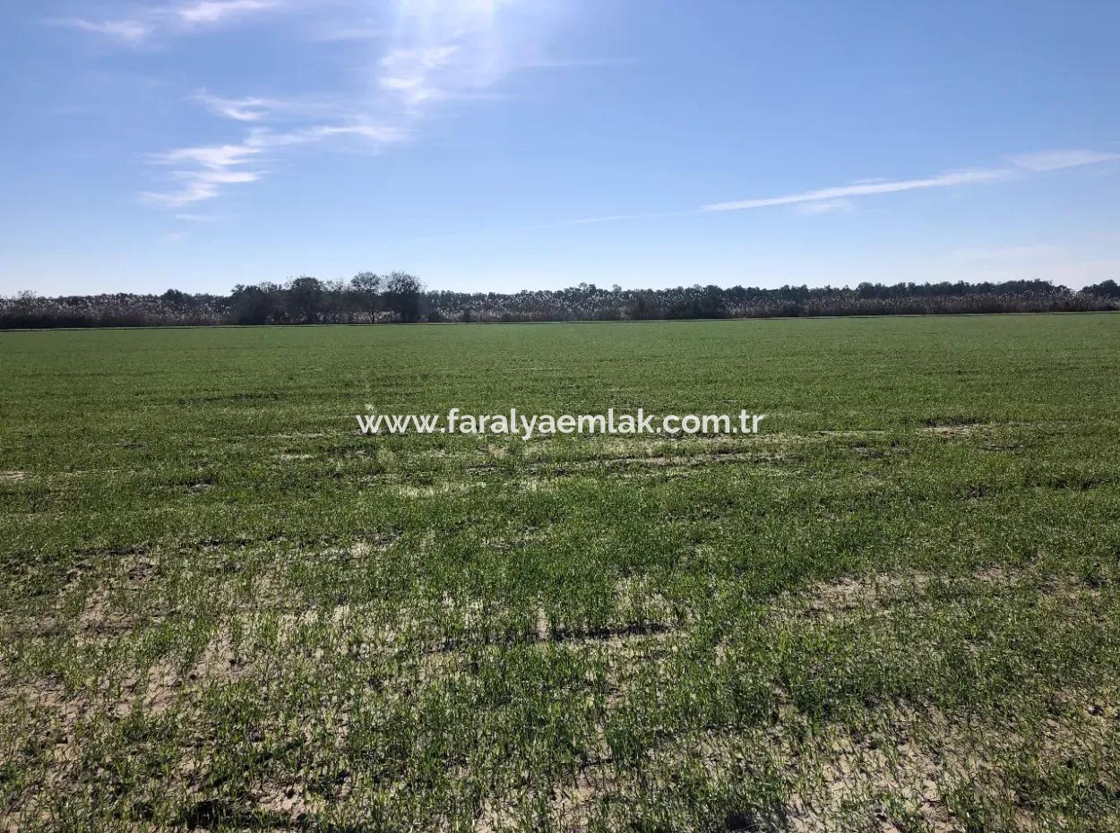 Land For Sale In Sarıgermede 30,000M2 Land For Sale With Sea View