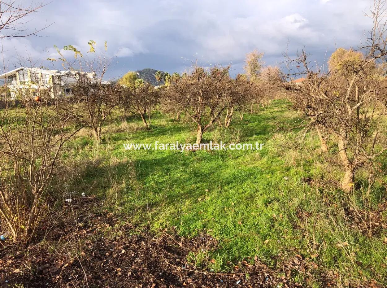Dalyan Land For Sale Near The Center 3000M2 5% Zoning Land For Sale
