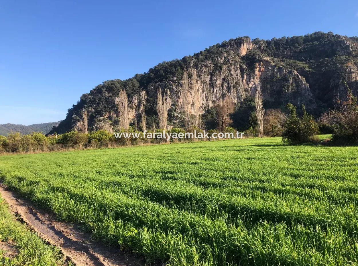 Land For Sale Marmarli 1500M2 Land For Sale