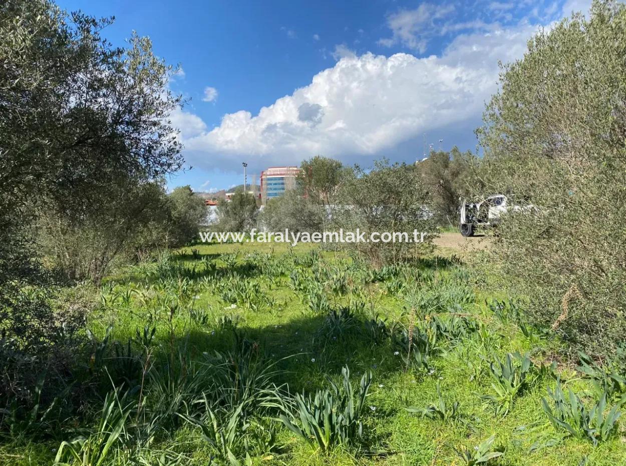 401M2 Land For Sale In Ortaca Cumhuriyet Neighborhood