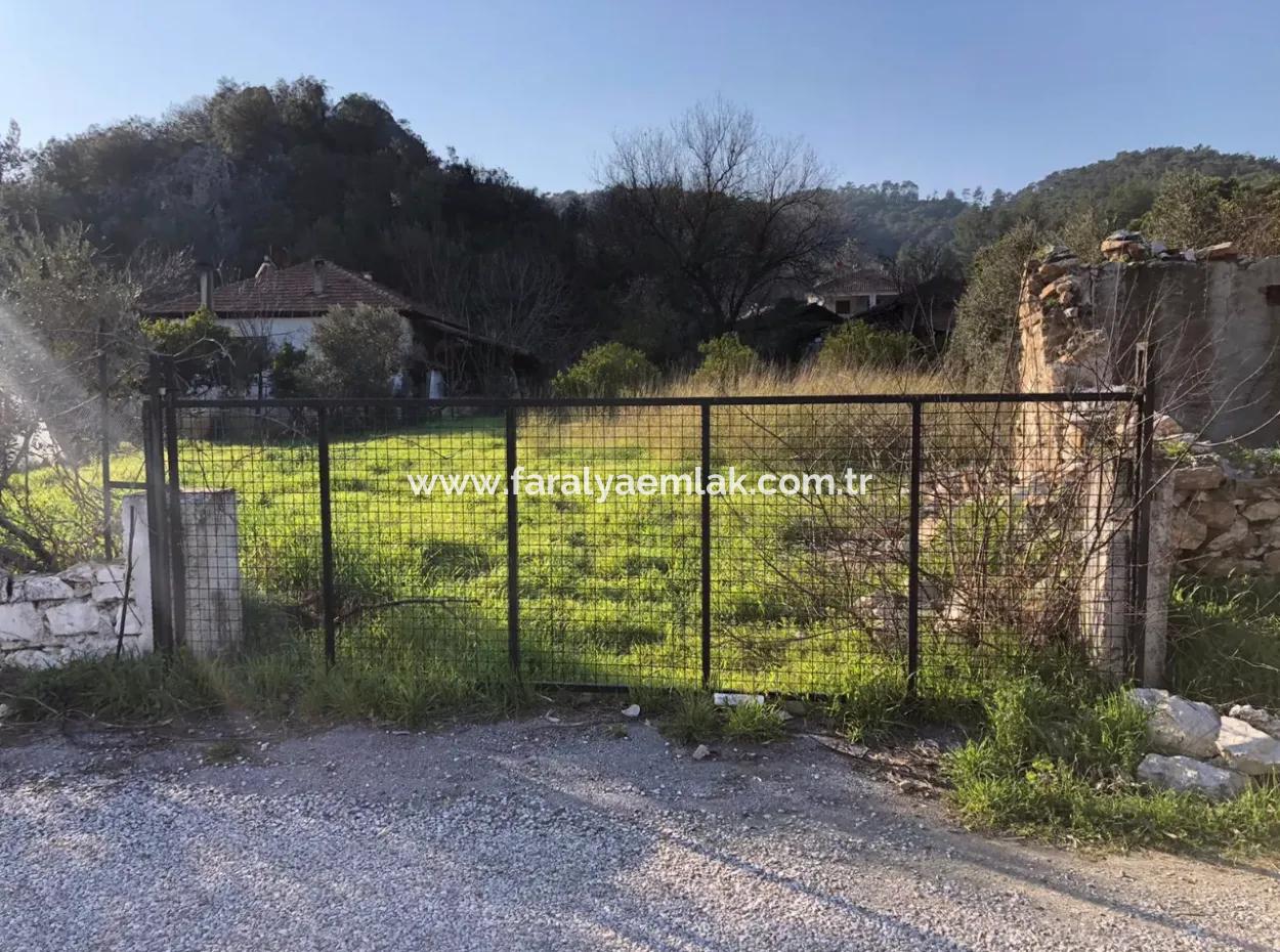 777M2 Land For Sale In Ula Sarayyanı