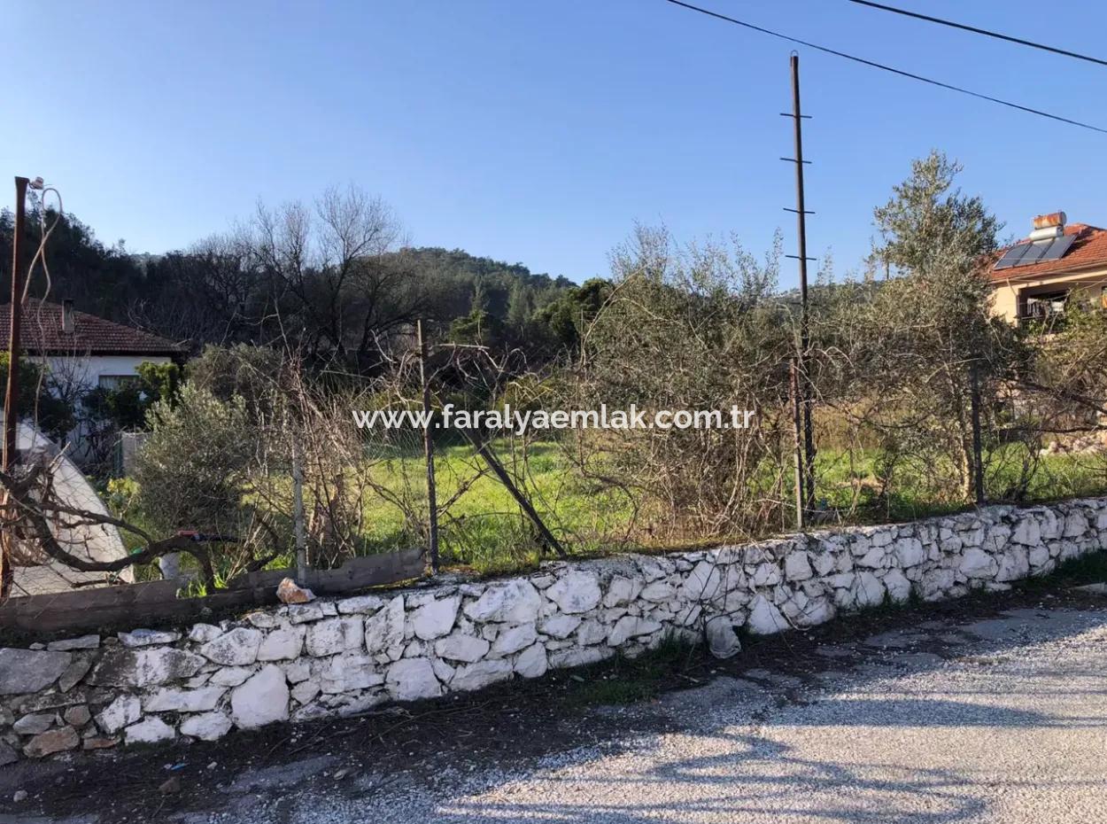 777M2 Land For Sale In Ula Sarayyanı