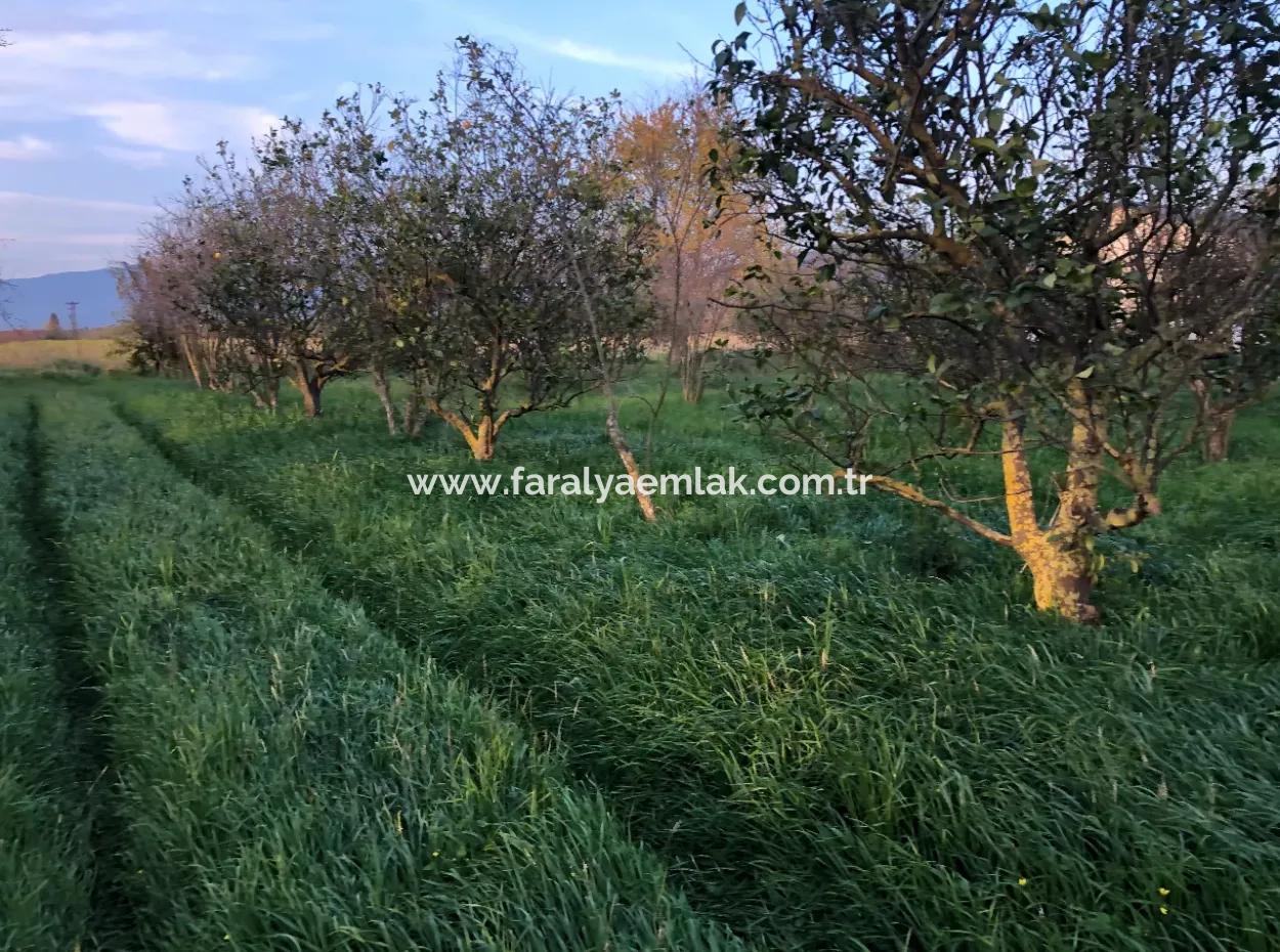 In Okçular Land For Sale 4707M2 Land For Sale