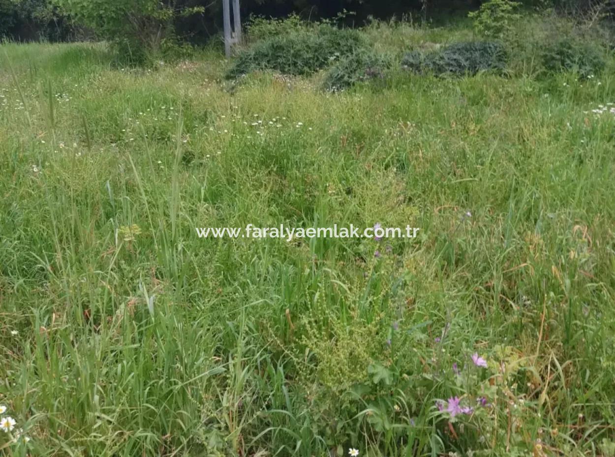 Land For Sale In Çamlida