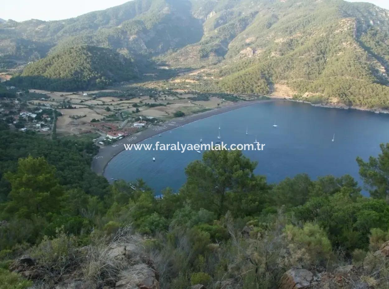 Here A Sea Full Sea View Plot For Sale For Sale Parcel 10885M2