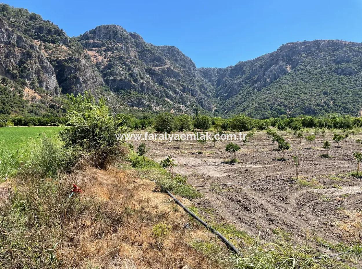 Okçular Land For Sale In Marmarlı 6500M2