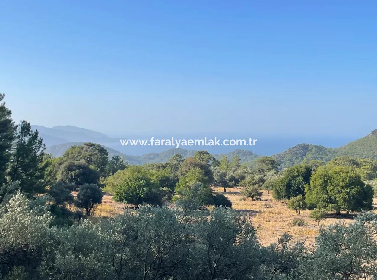 2620M2 Land Field For Sale With Sea View Of Çandir