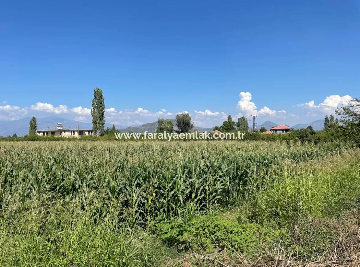 Dalyan Main Road Zero Land For Sale 8115M2 Commercial Land For Sale