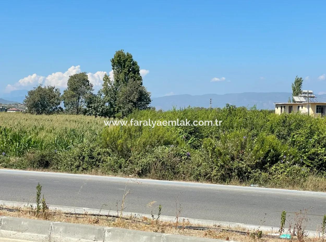 Dalyan Main Road Zero Land For Sale 8115M2 Commercial Land For Sale