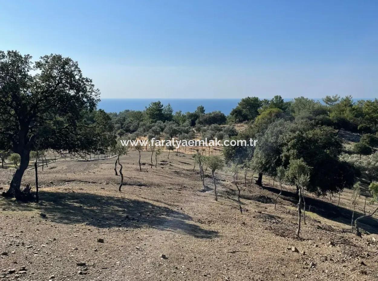 Land For Sale With Sea View Of Çandir