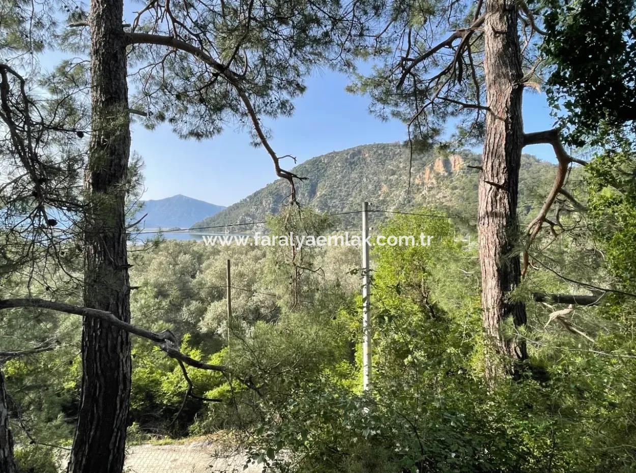 6,821M2 Village House For Sale With Views Of Çandir Lake