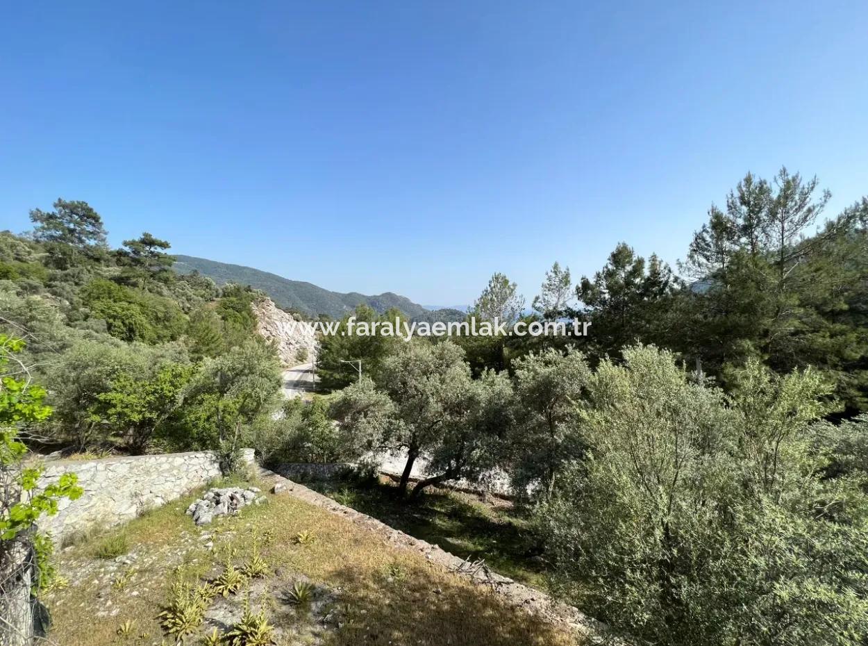 Detached House For Sale With Ekincik Sea View