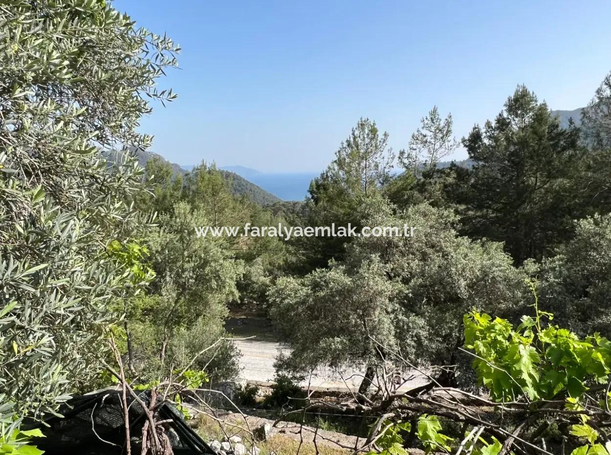 Detached House For Sale With Ekincik Sea View