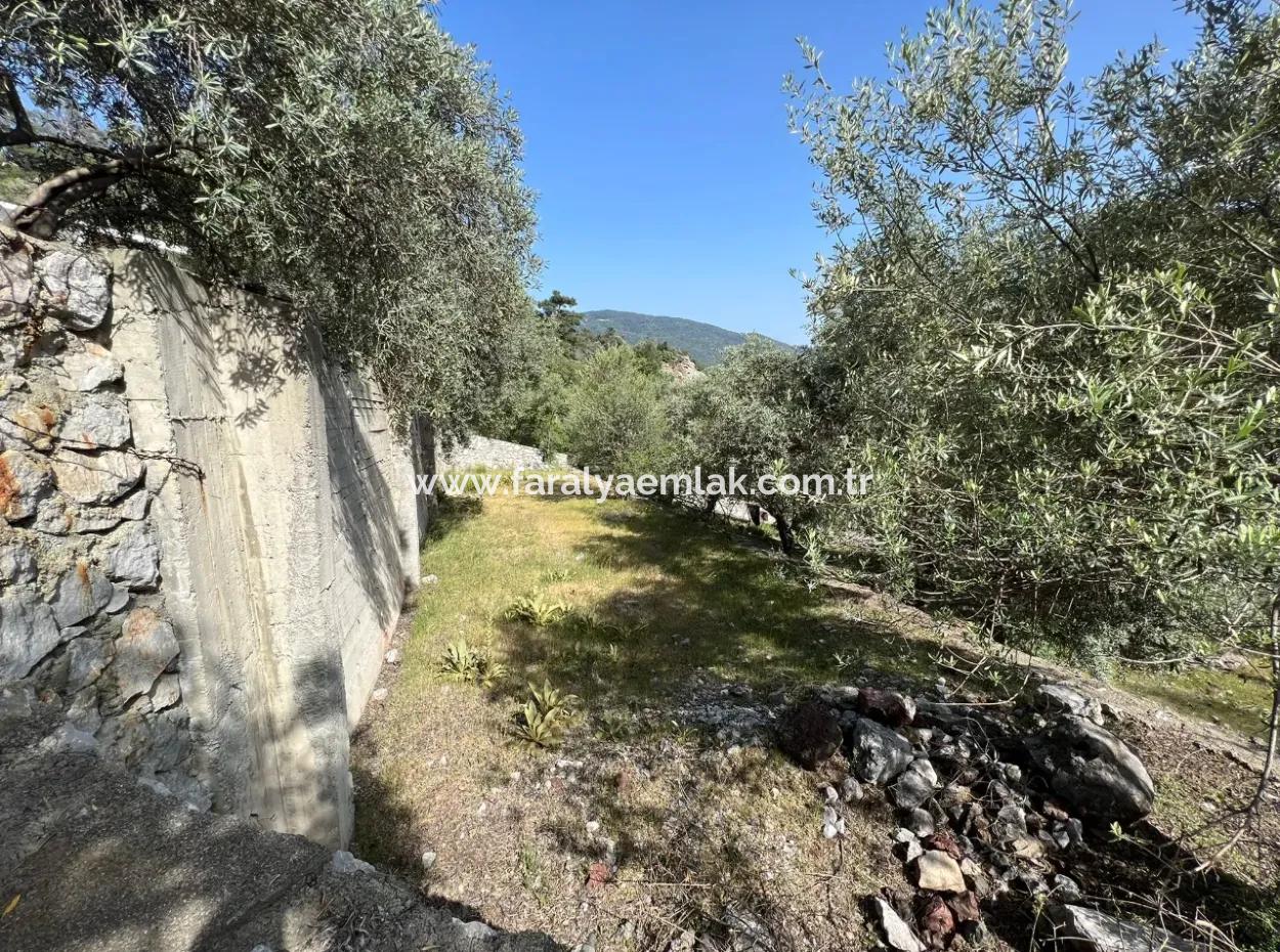 Detached House For Sale With Ekincik Sea View