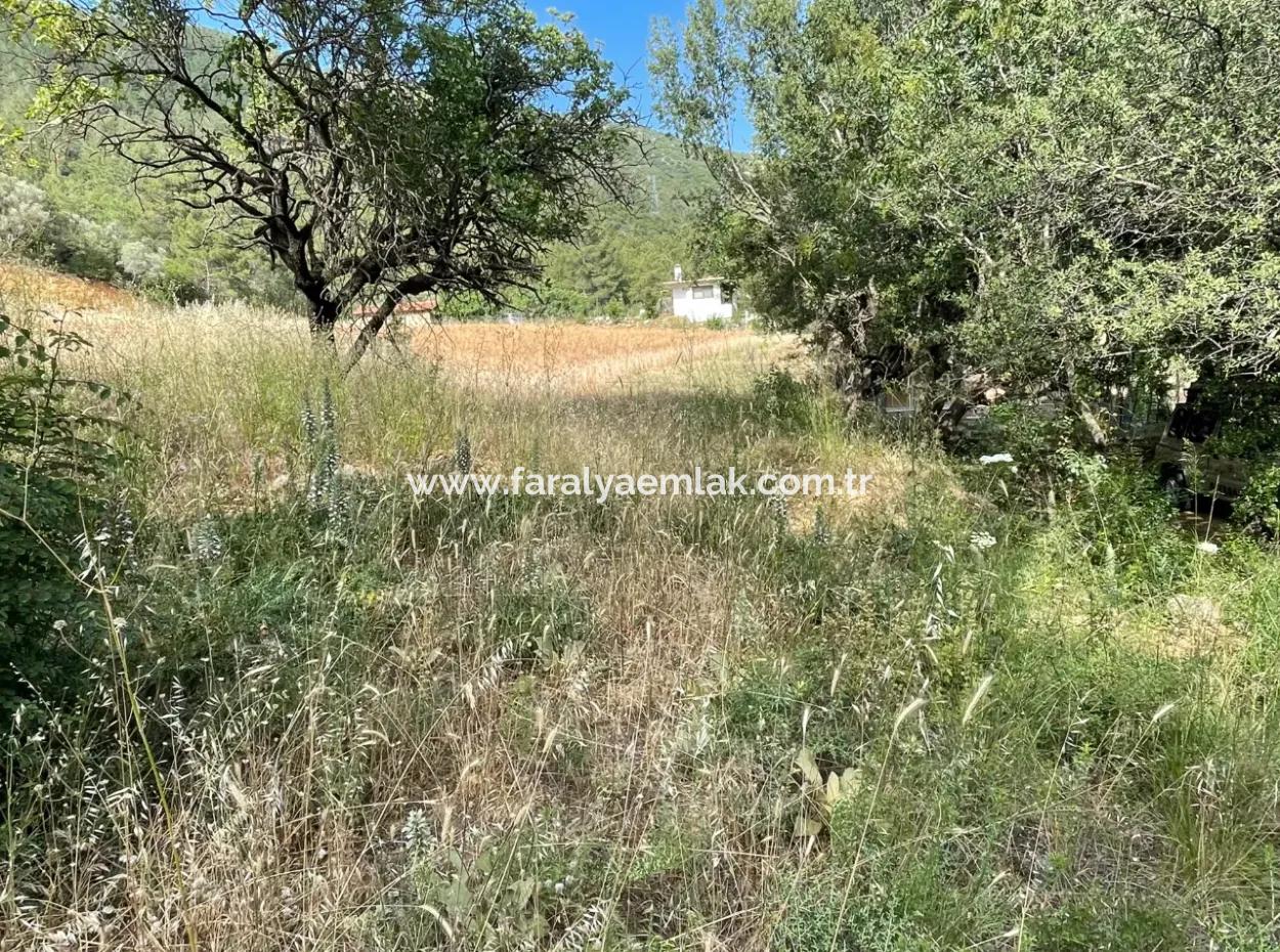 Land For Sale In Ula Armutchuk With 501M2 Zoning
