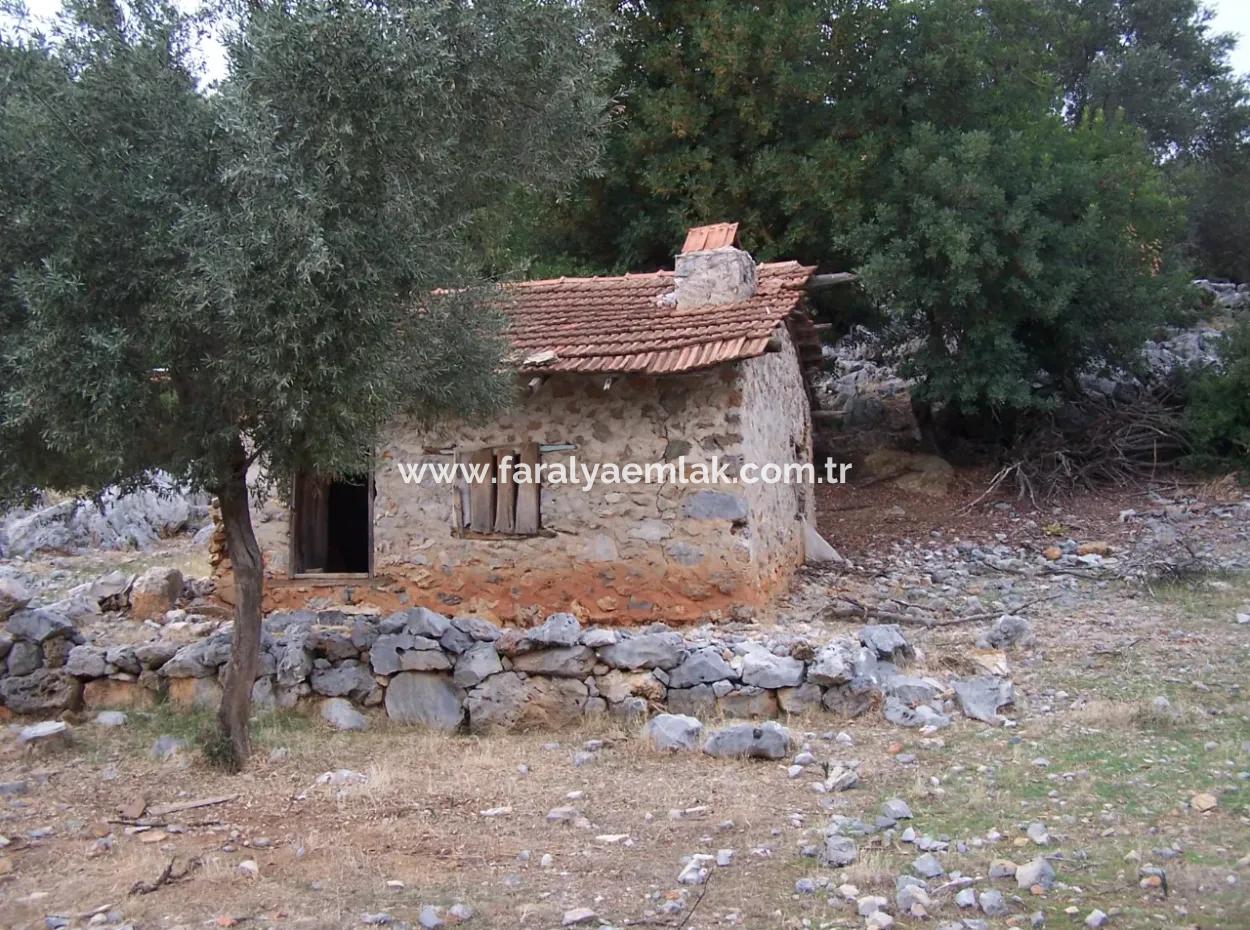 House For Sale In Sarsalada Sea View 4274M2 Plot