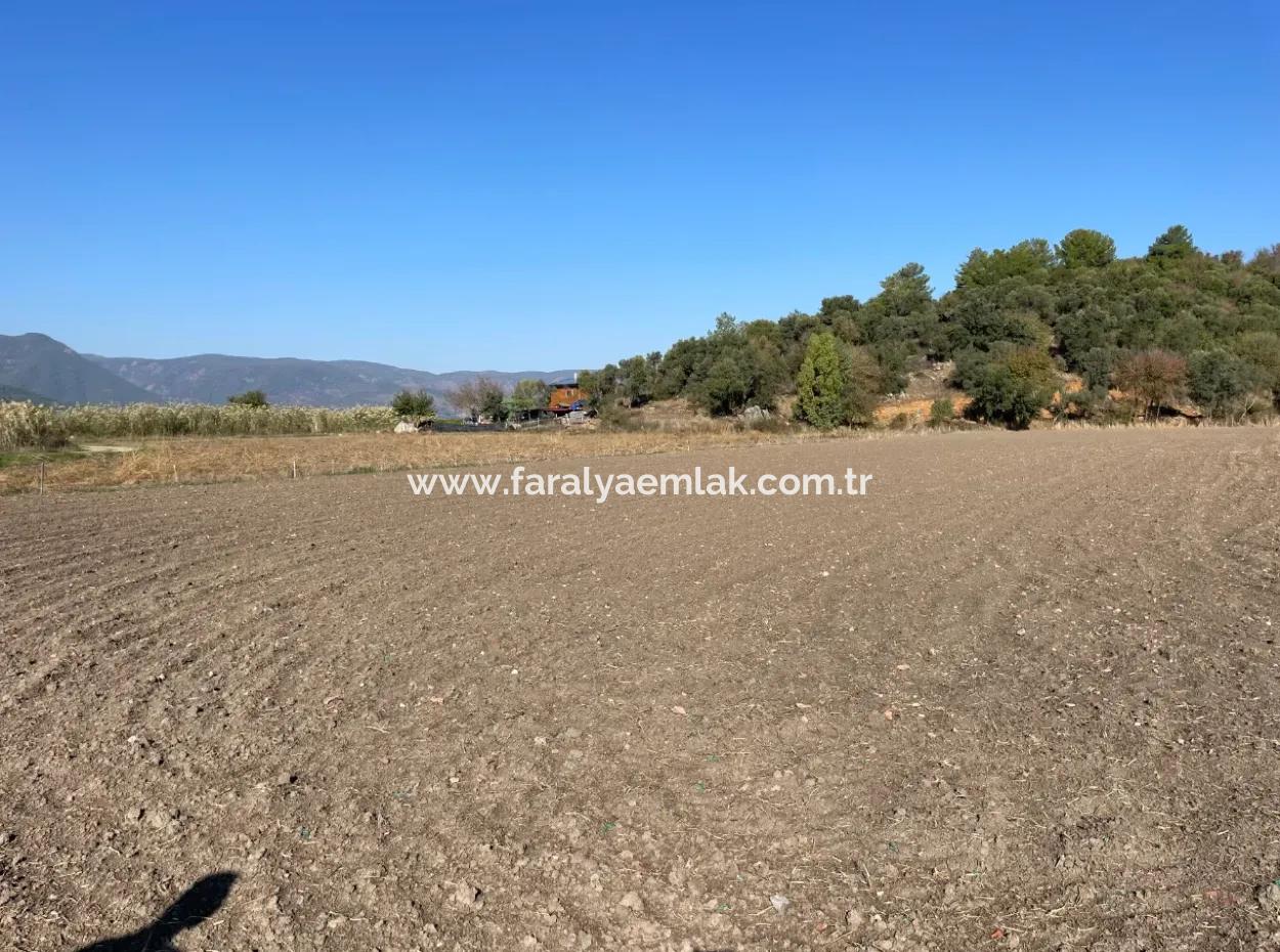 6254M2 Field For Sale Near Dalyan In Eskiköy