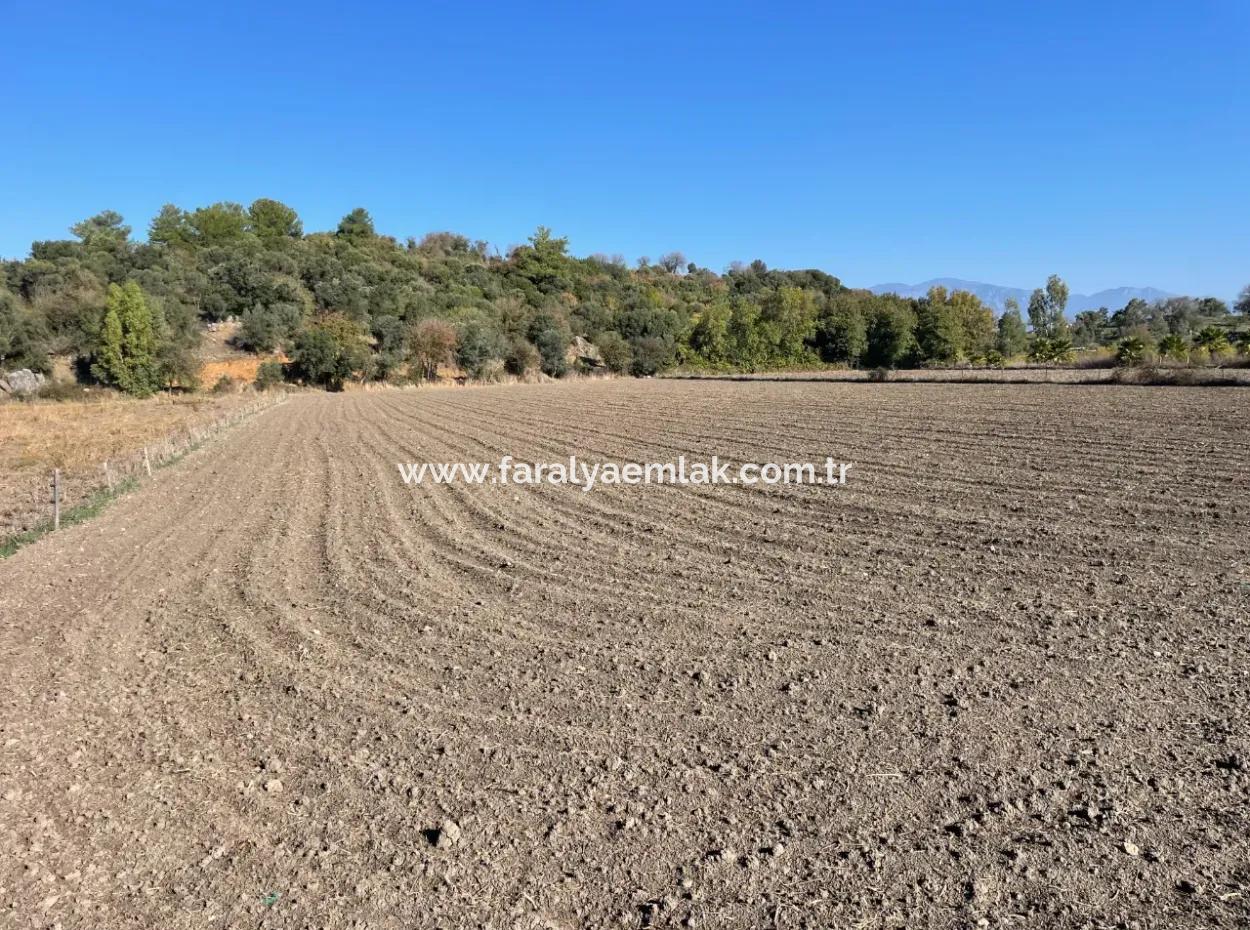 6254M2 Field For Sale Near Dalyan In Eskiköy