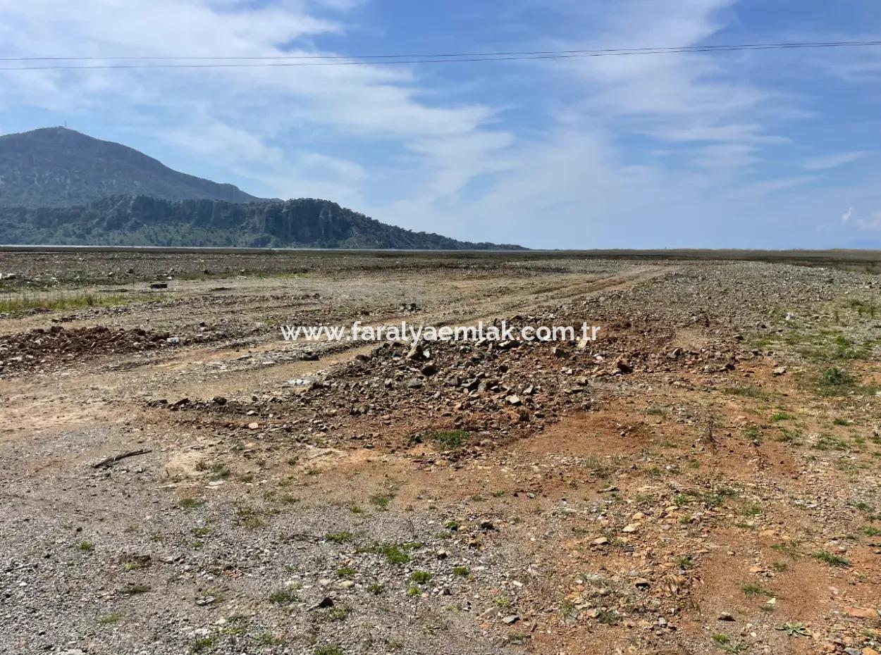 Dalyan Iztuzu Beach Road Zero 19,600M2 Field Land For Sale