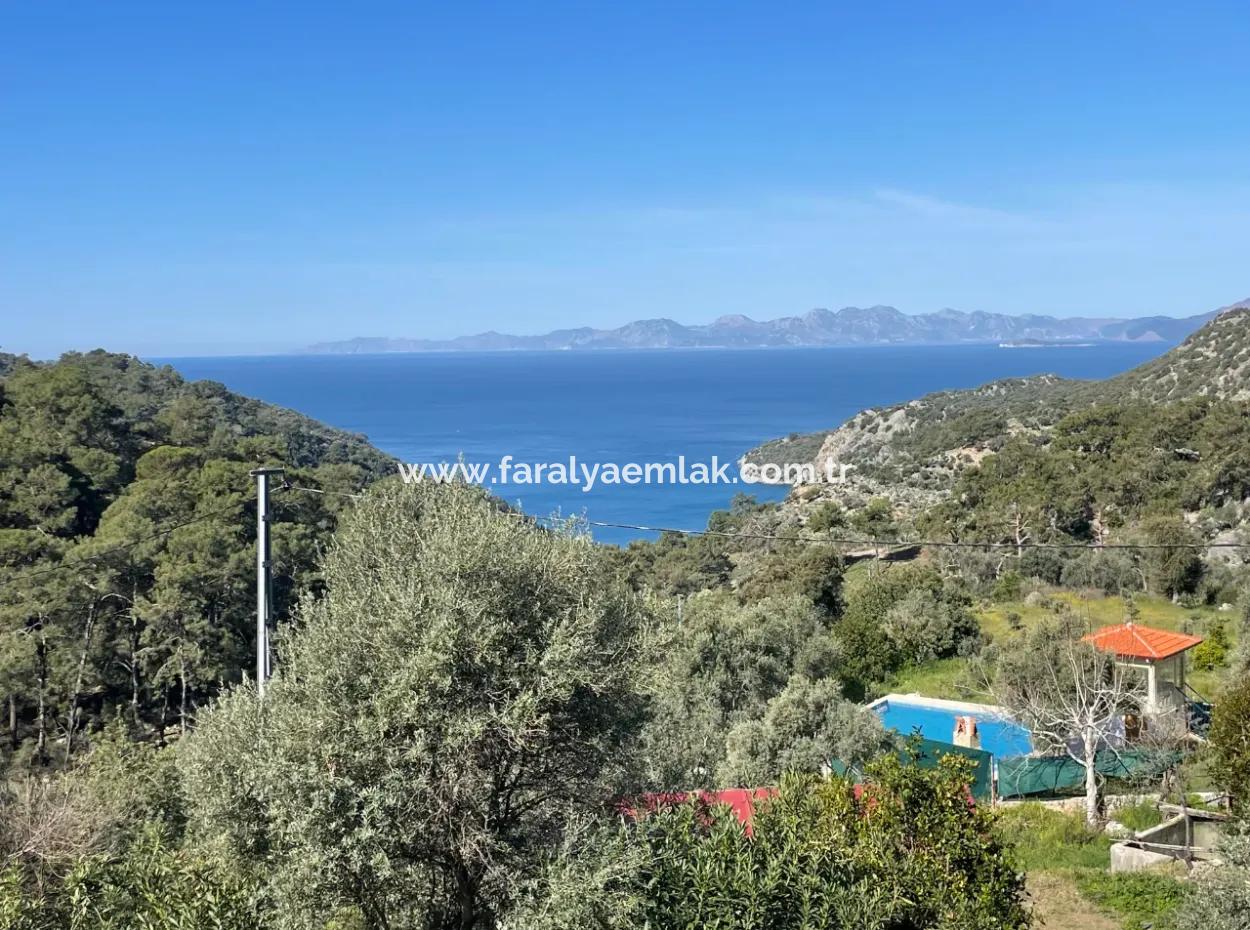Village House For Sale In 4,400M2 Land With Full Sea View In Gökbel