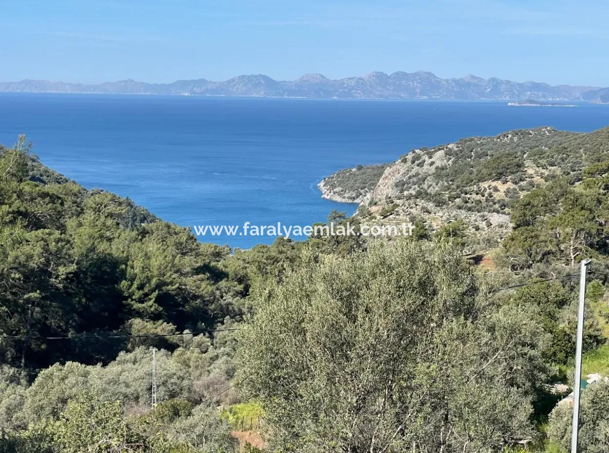 Village House For Sale In 4,400M2 Land With Full Sea View In Gökbel