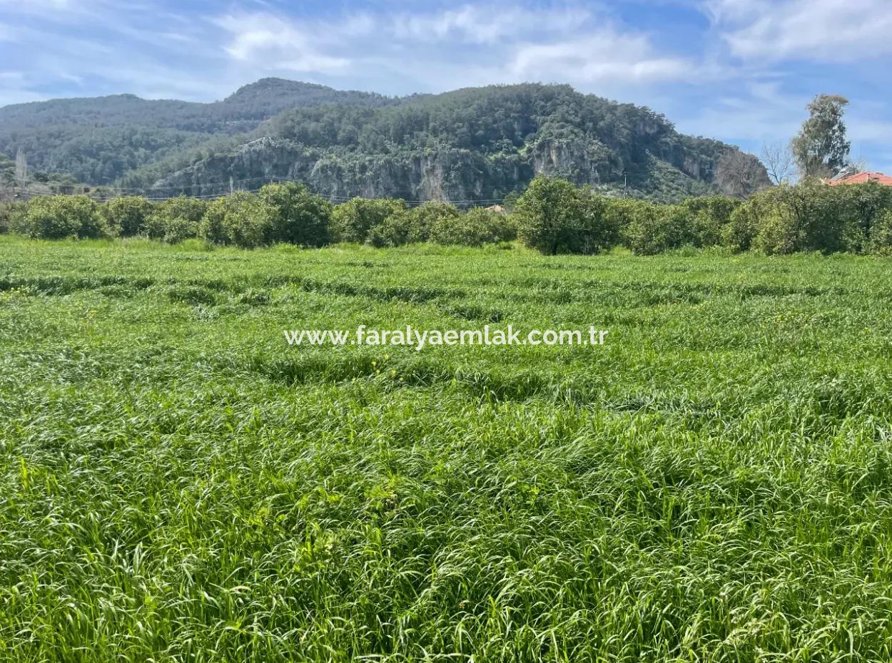 736M2 Land For Sale In Okçular