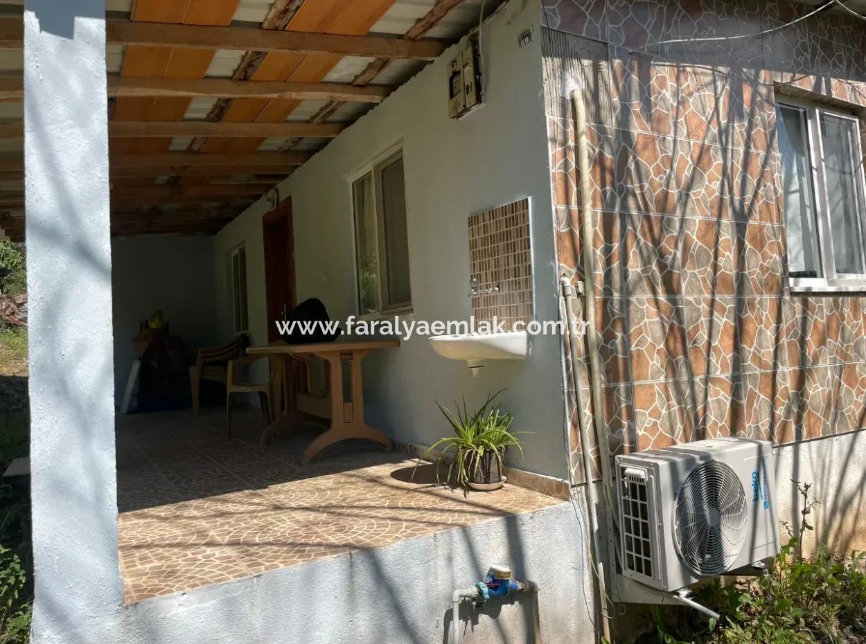 Village House For Sale In 5650M2 Field In Zeytinalann