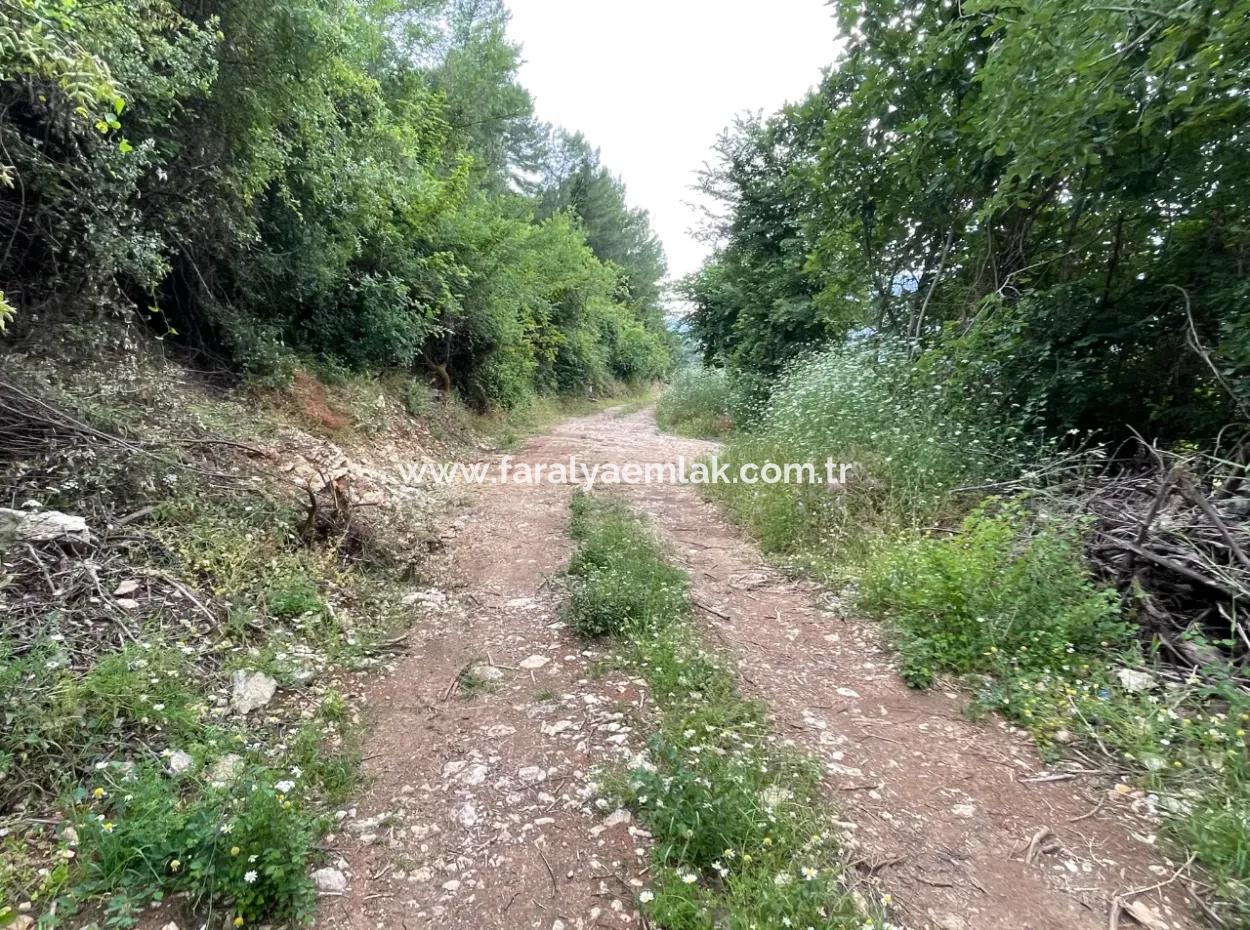 2,528M2 Field For Sale Near The Center Of Dalyan