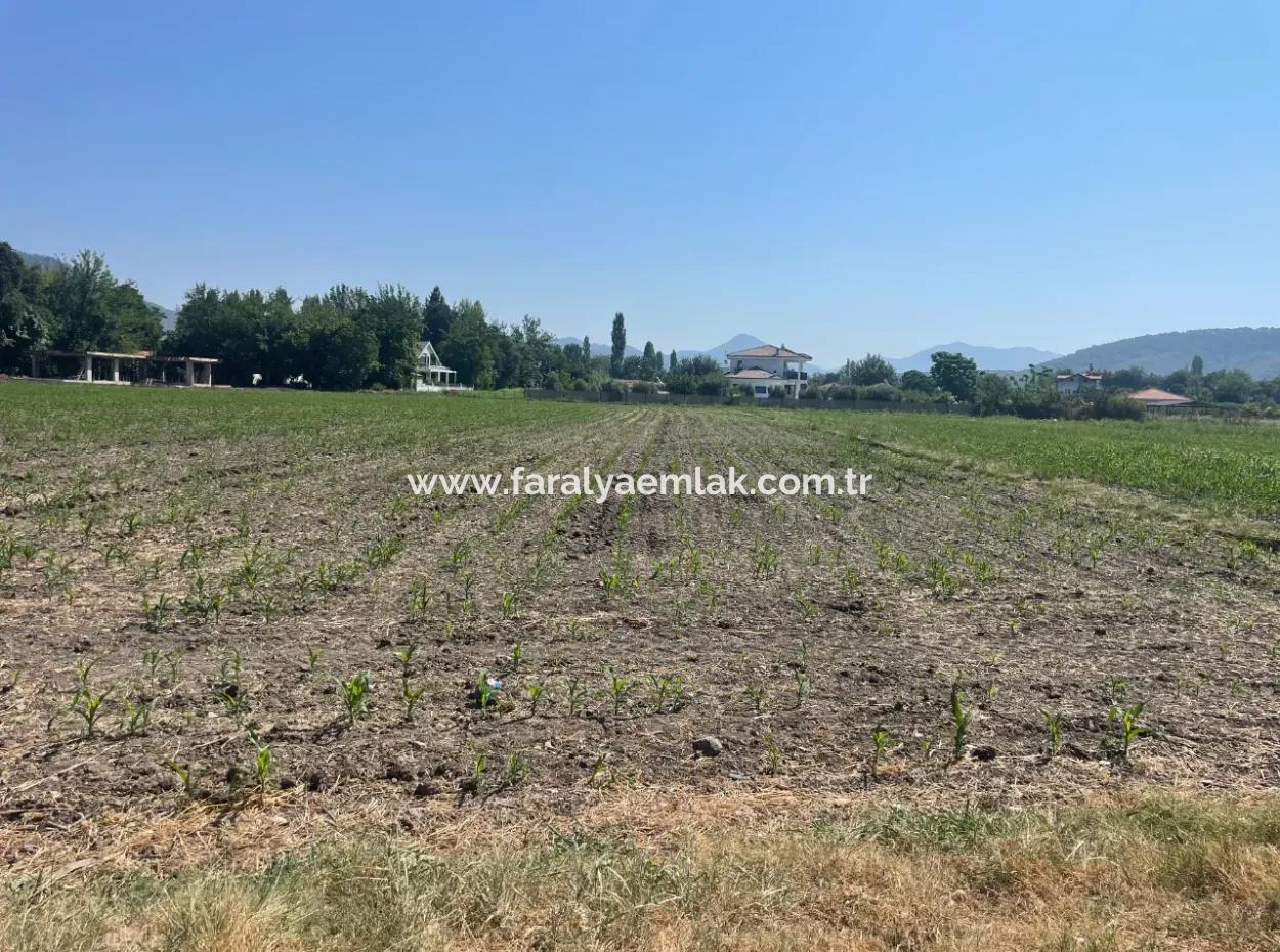 Land For Sale Of 2715M2 In The Built-Up Area Of The Village In Okçular