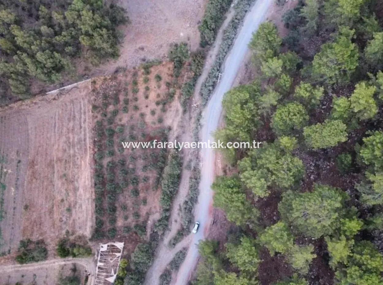 3578M2 Field For Sale On The Road Of Aşı Koyu In Mergenlide