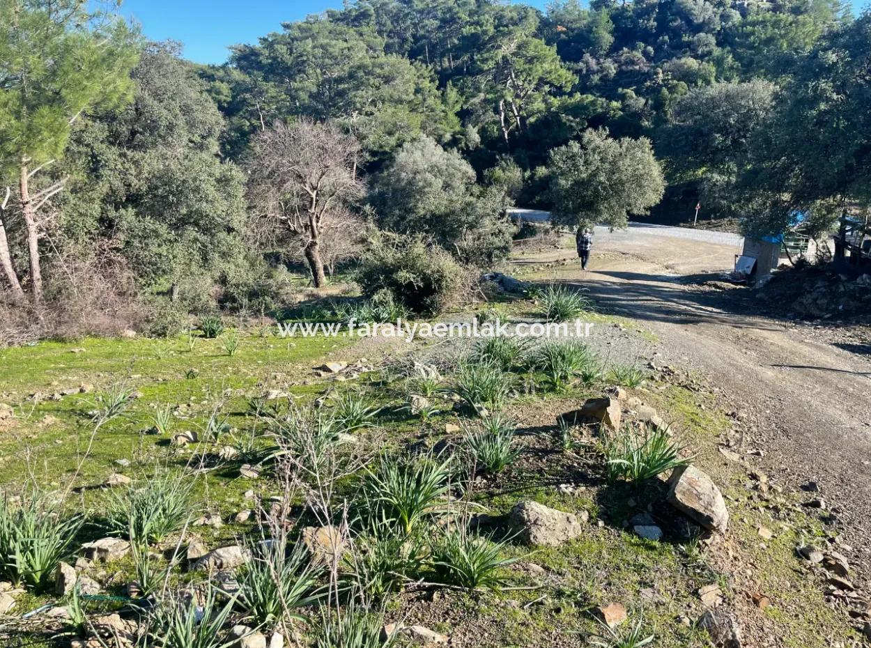 2B Land For Sale With Sea View In Çandır