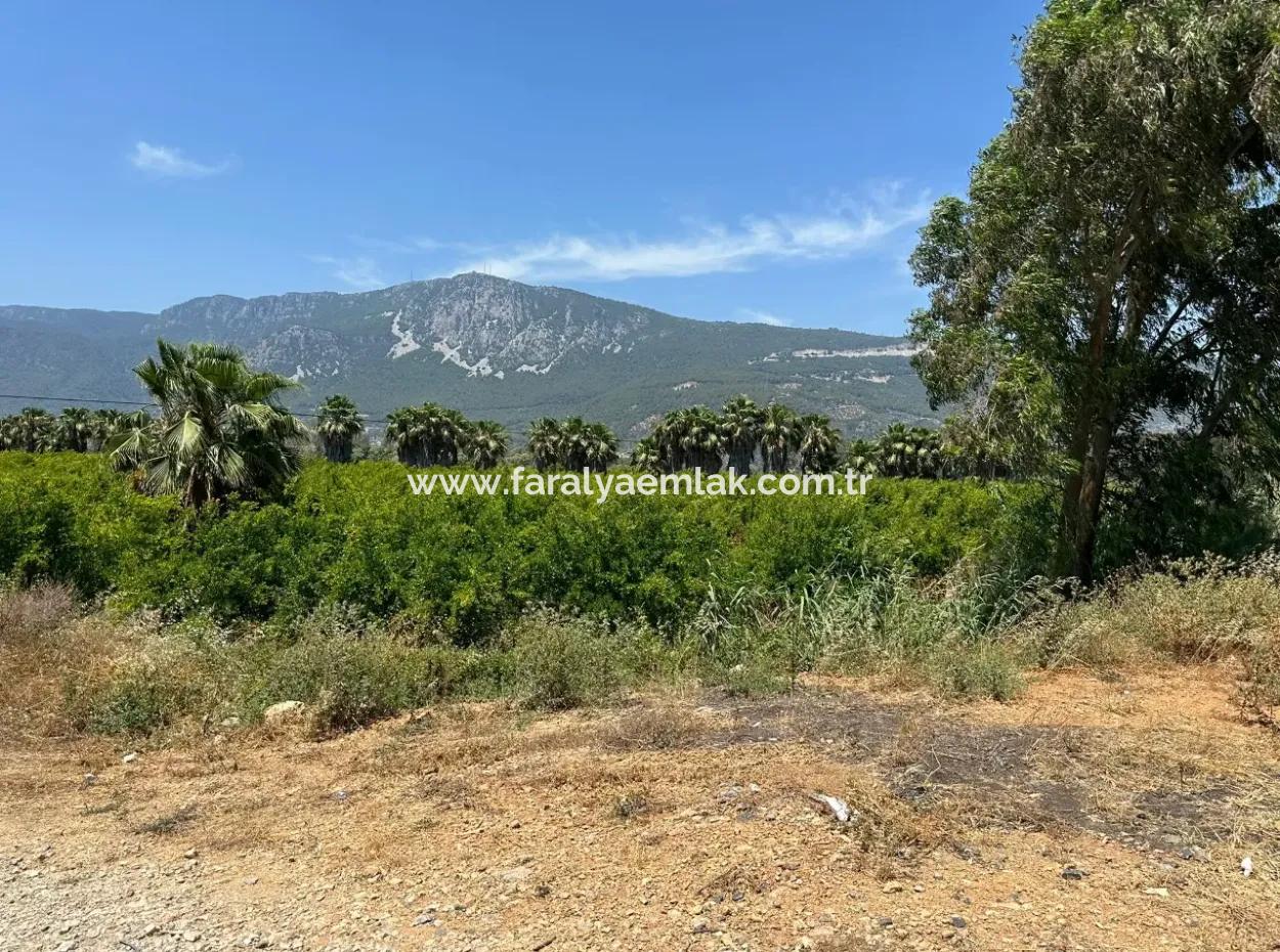 13,500M2 Roadfront Field For Sale In Akyaka Akçapınar