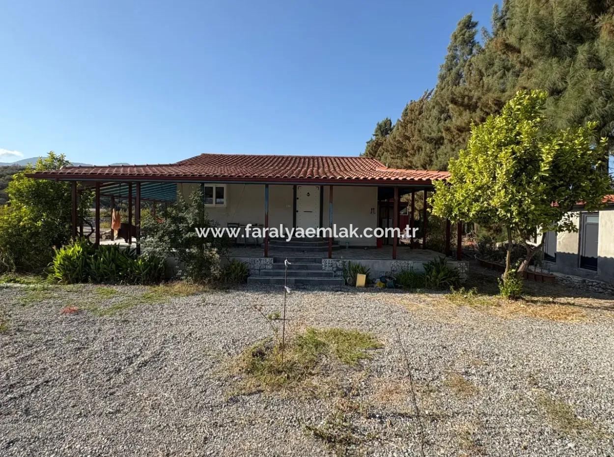 19.663M2 Farm Land And House For Sale In Eskiköy