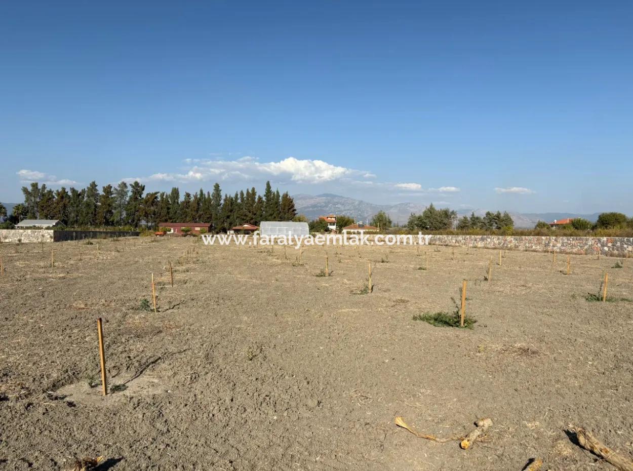 19.663M2 Farm Land And House For Sale In Eskiköy