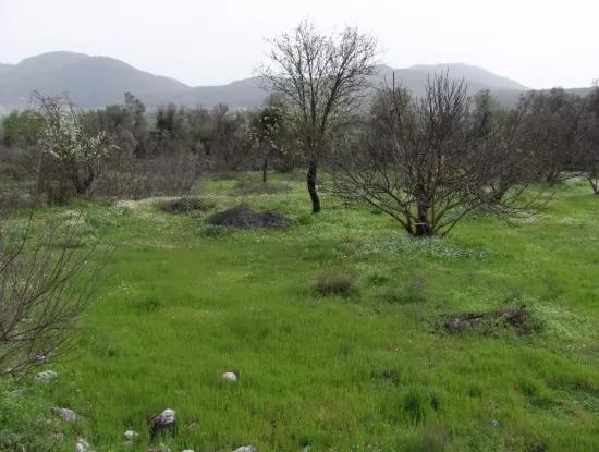 In Incirkoy Uzumlu Fethiye Plot For Sale Farm For Sale In Incirkoy