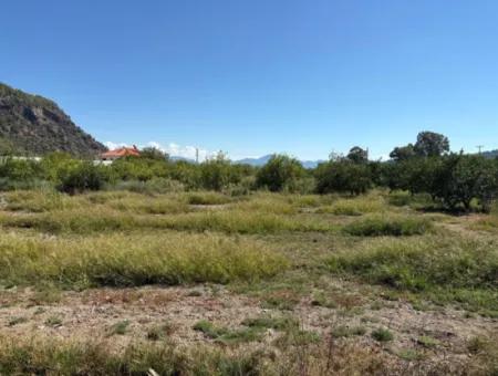 Land For Sale In The Village Built-Up Area In Mergenli