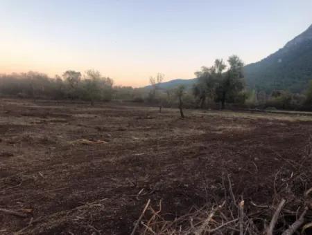 Sultaniye Land For Sale Near 10577M2 Lake Land For Sale