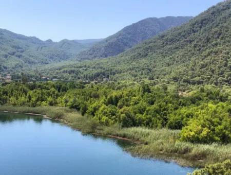 Sultaniye Land For Sale Near 10577M2 Lake Land For Sale
